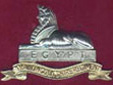 Tenth of Foot Regiment Badge